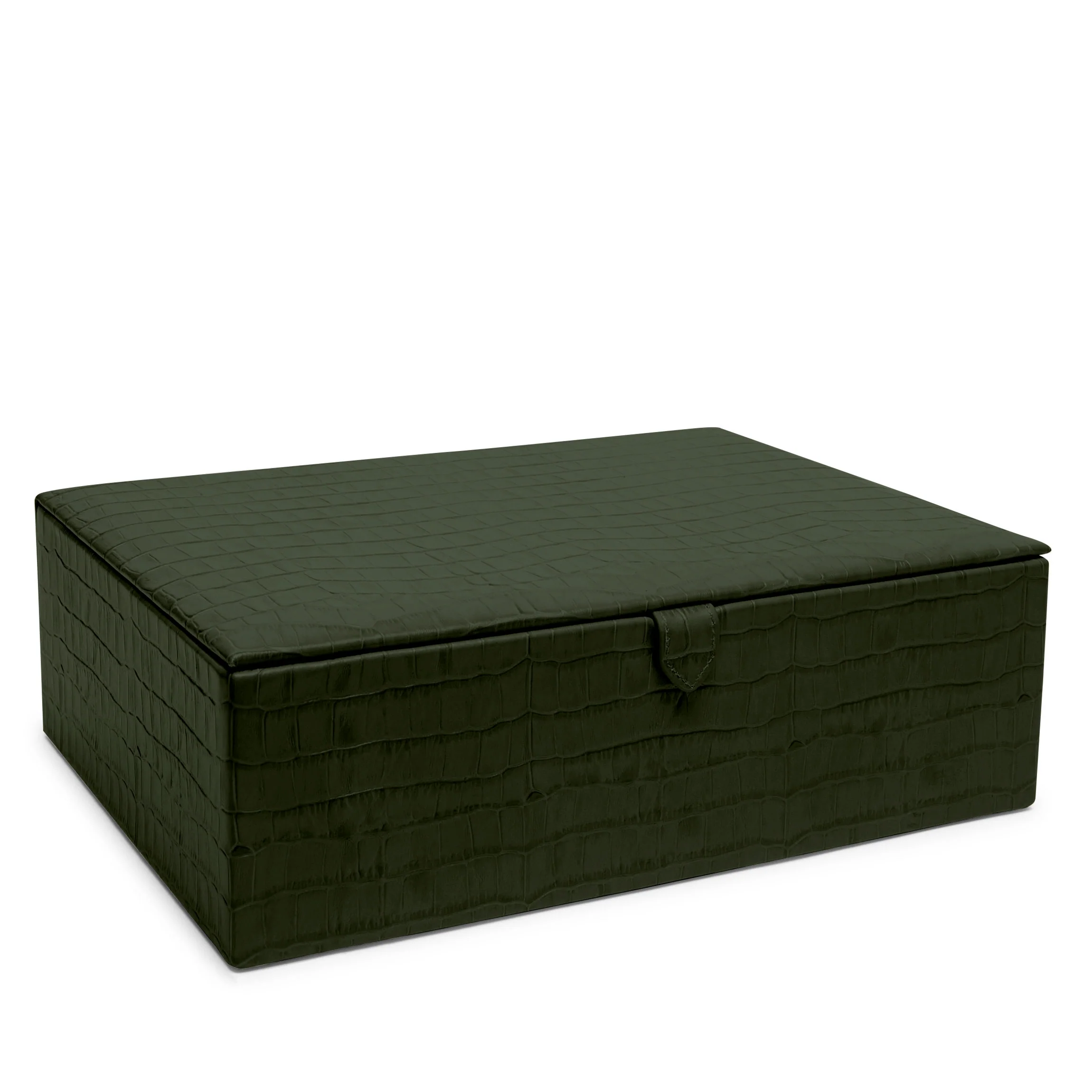 Large Decorative Box Forest Croc